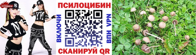 Галлюциногенные грибы Psilocybine cubensis  Курганинск 