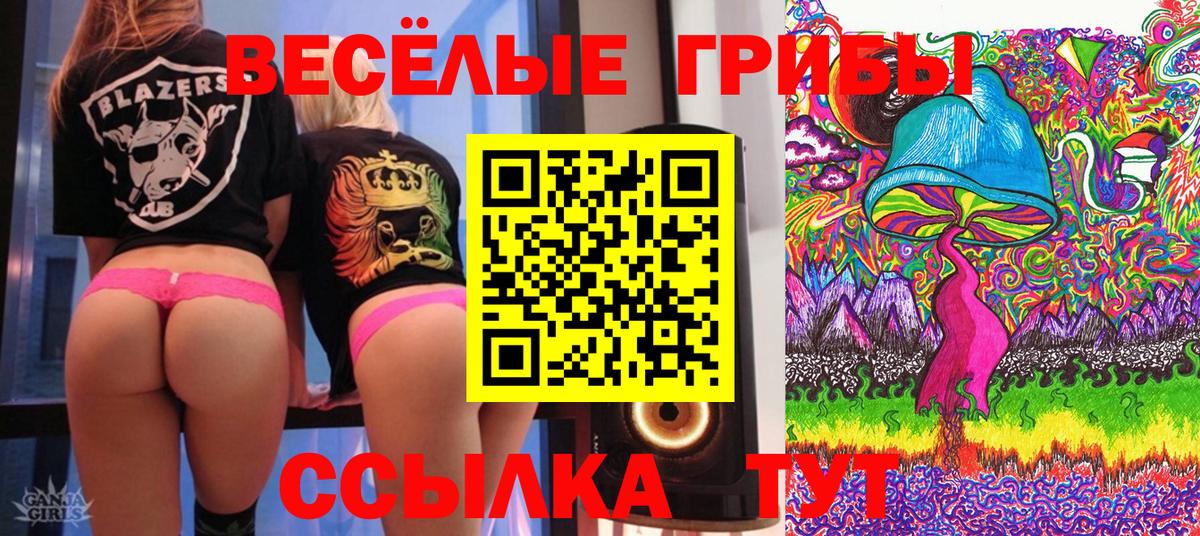 Псилоцибиновые грибы GOLDEN TEACHER  Вход с VPN  Курганинск  Псилоцибиновые грибы MAGIC MUSHROOMS 