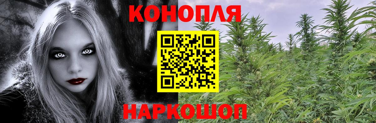 Канабис VHQ  Бошки Шишки планчик  Вход с VPN  Канабис Amnesia  Шишки марихуана Bruce Banner  Курганинск 